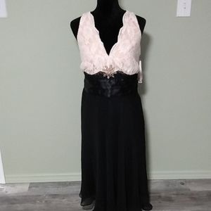 closet closing 8/15, clearance price* NWT Robbie Bee dress from Dillard's